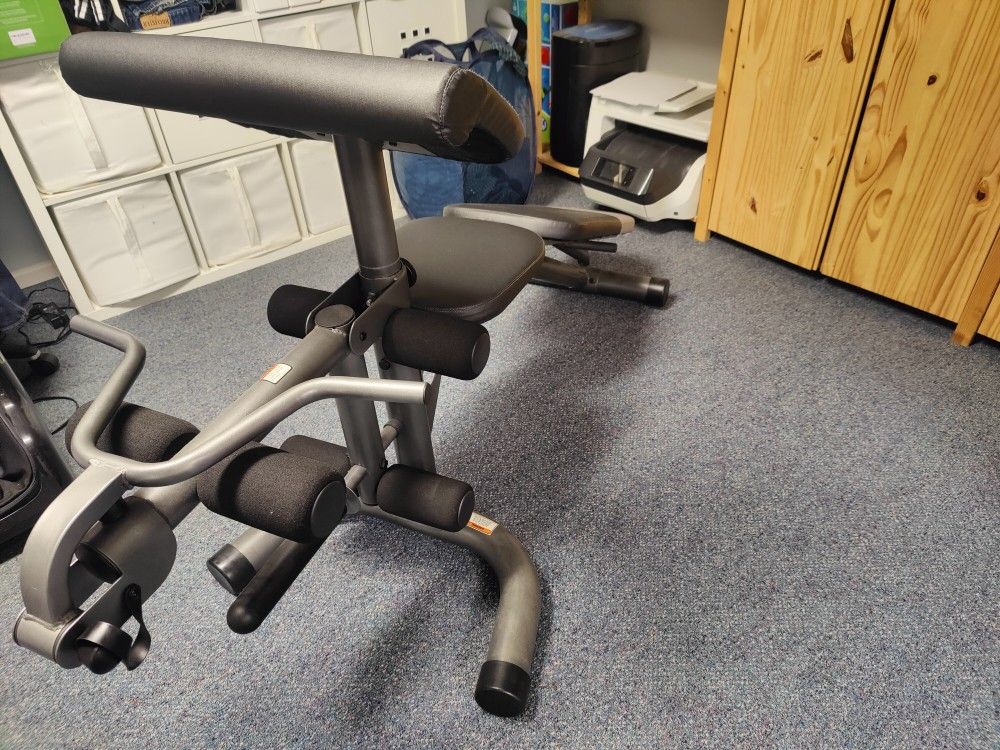 Gold Gym Workout Bench