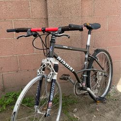Nishiki  Yeta Mountain Bike