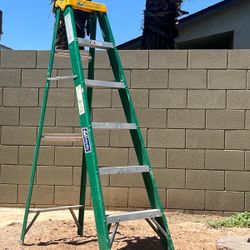 6 Ft Louisville Ladder