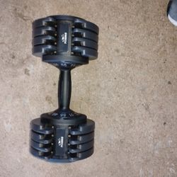 1 FLYBIRD  55 LB. MAX DUMBELL