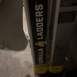 18’ GorillaExtension Ladder