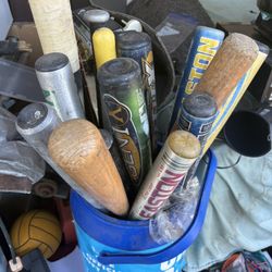 Assorted Baseball Bats