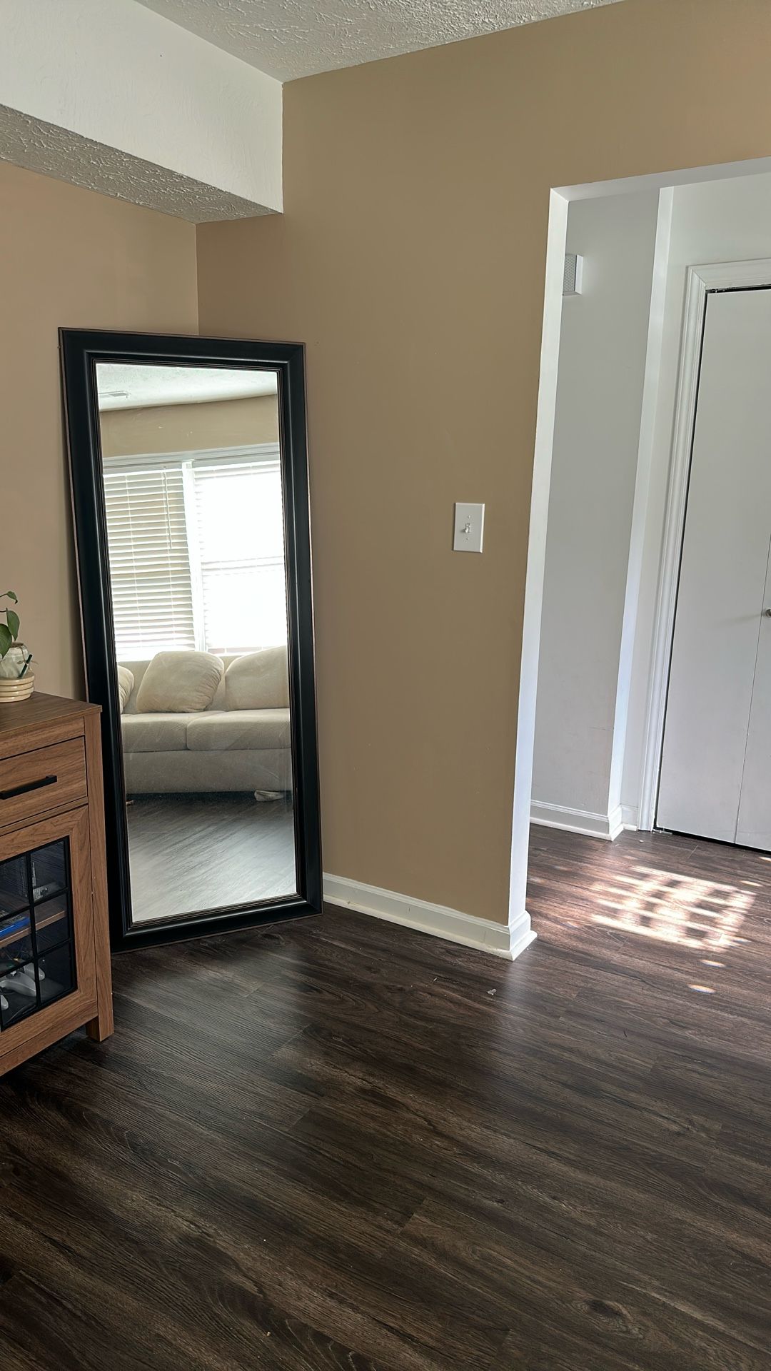 Full Body Black/Brown Trim Mirror