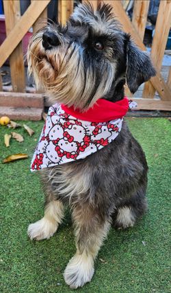 Handmade Hello Kitty print Dog Bandana MEDIUM 29" top edge
