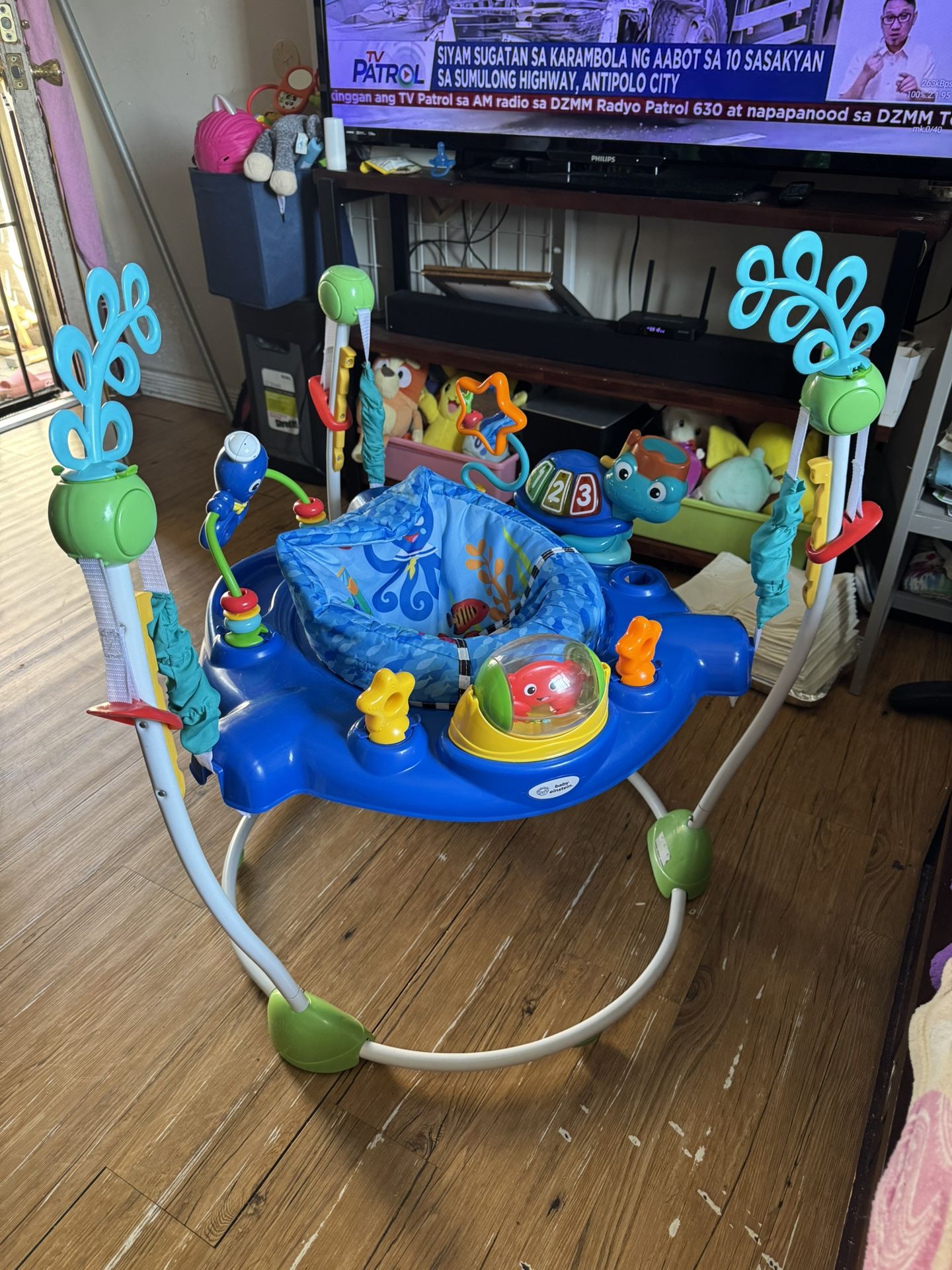 Baby Einstein Bouncer