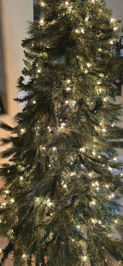 7' Scottsdale Ine Christmas Tree