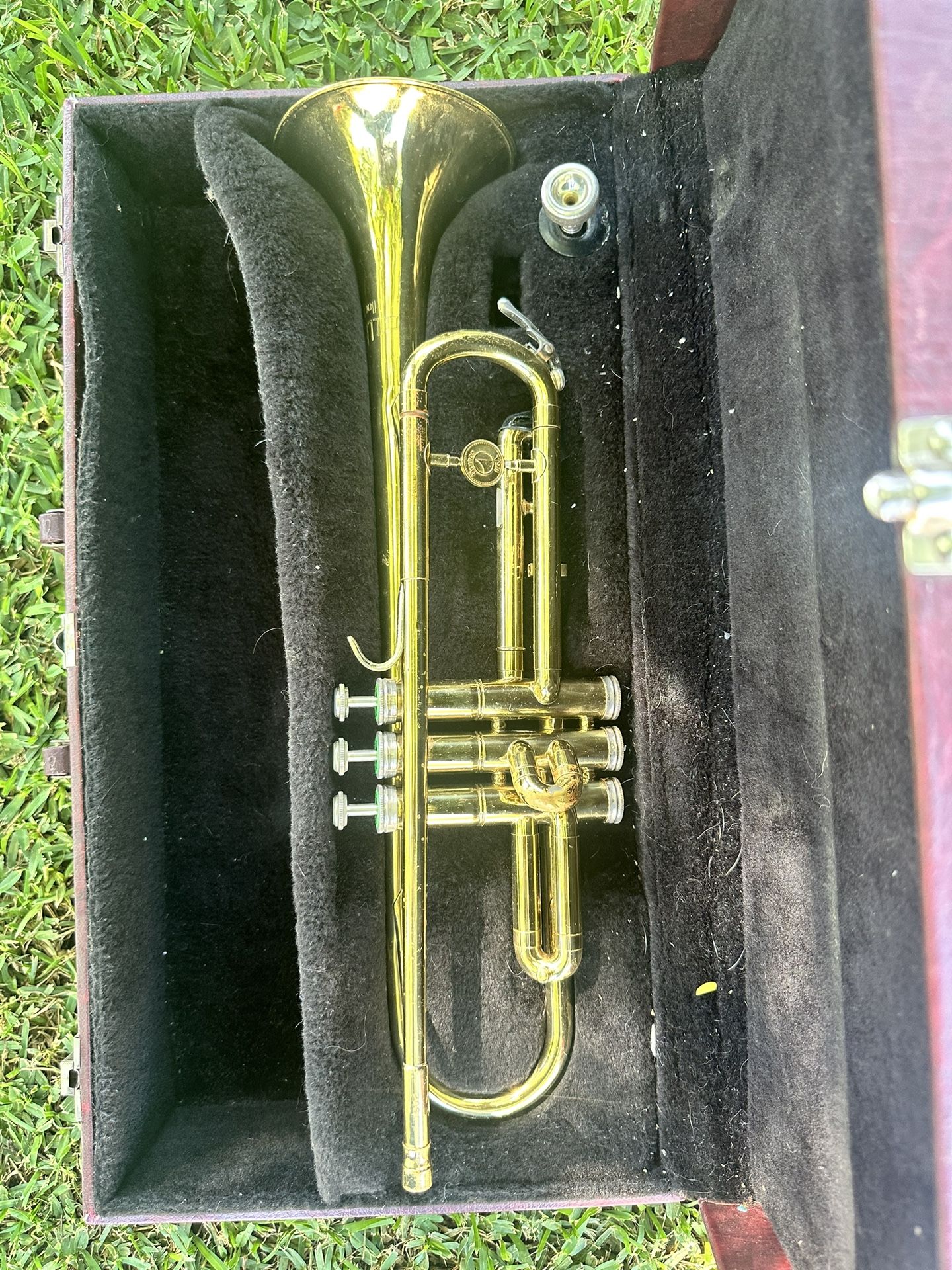 Holton Collegiate Trumpet