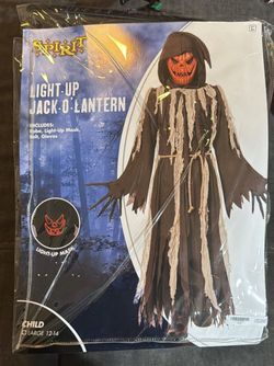 Light Up Jack -O- Lanter Costume