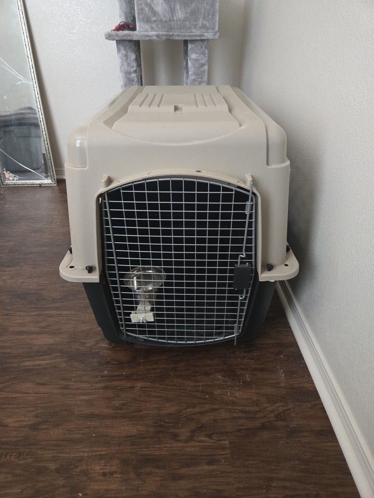 Dog Kennel 