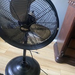 Fan