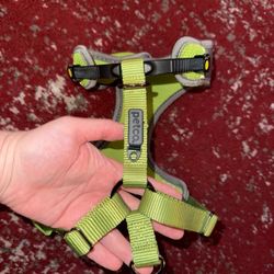 petco dog harness