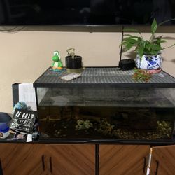 I Believe It’s A 50 Gallon Tank 