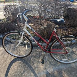 Woman's Bike Used TREK Pro Bike