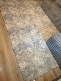 Couch and rug