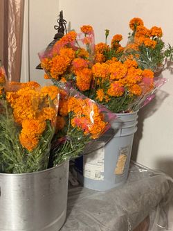 bouquet Cempasúchil (Mexican Marigold) bouquets