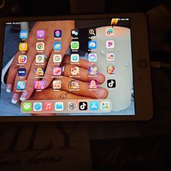 Tik Tok downloaded ipad