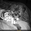 Zoe