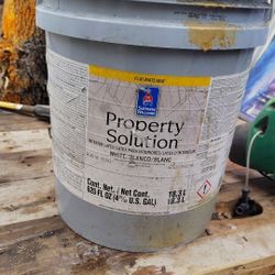 Property Solutions White Paint