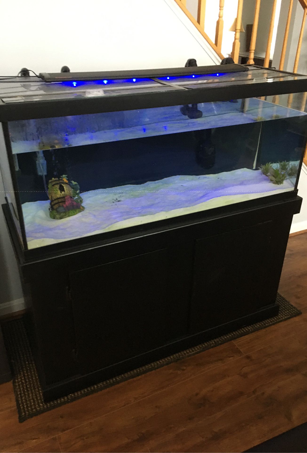 Fish tank