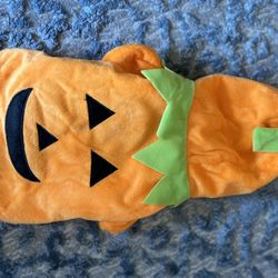 Pumpkin Costume 