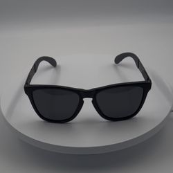 Oakley Frogskins Gray Sunglasses – Classic Style