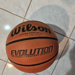 Men's Size Evo Basketball