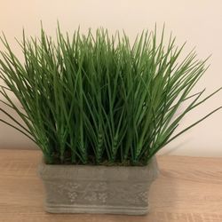 Artificial Plant 