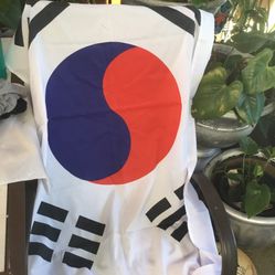 Bandera Grande Y Bolsa México $28 Each.