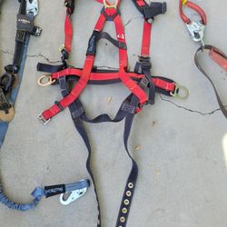 Harness $60