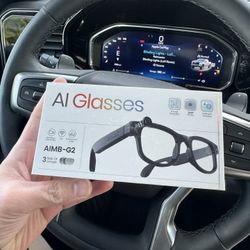 AI Smart Glasses