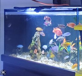 Fish Tank/Aquarium Sump
