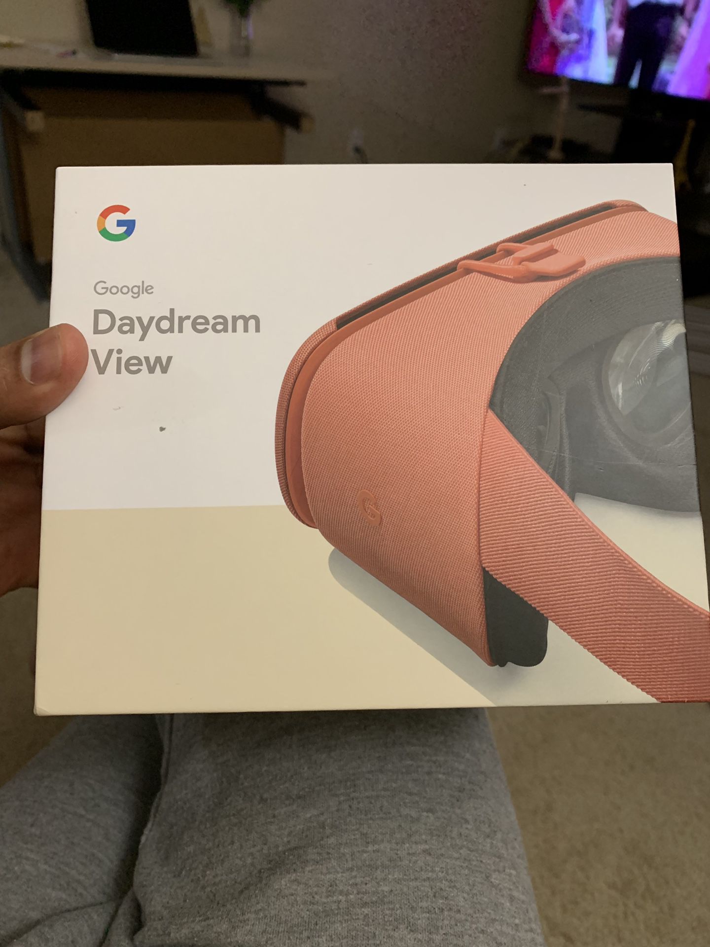 Google daydream view goggles