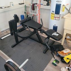 Anything Sports Leg Curl And Extension Machine 