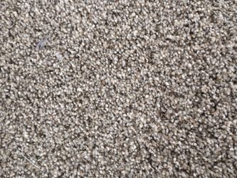 Carpet new multicolor brown and gray
