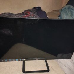 Computer Monitor 
