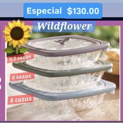 Conteiners Set De 3 Nueva Línea Wildflower $130.00 Especial Para Guarda Comida Postres Ensaladas Princess House Ventas Finales 