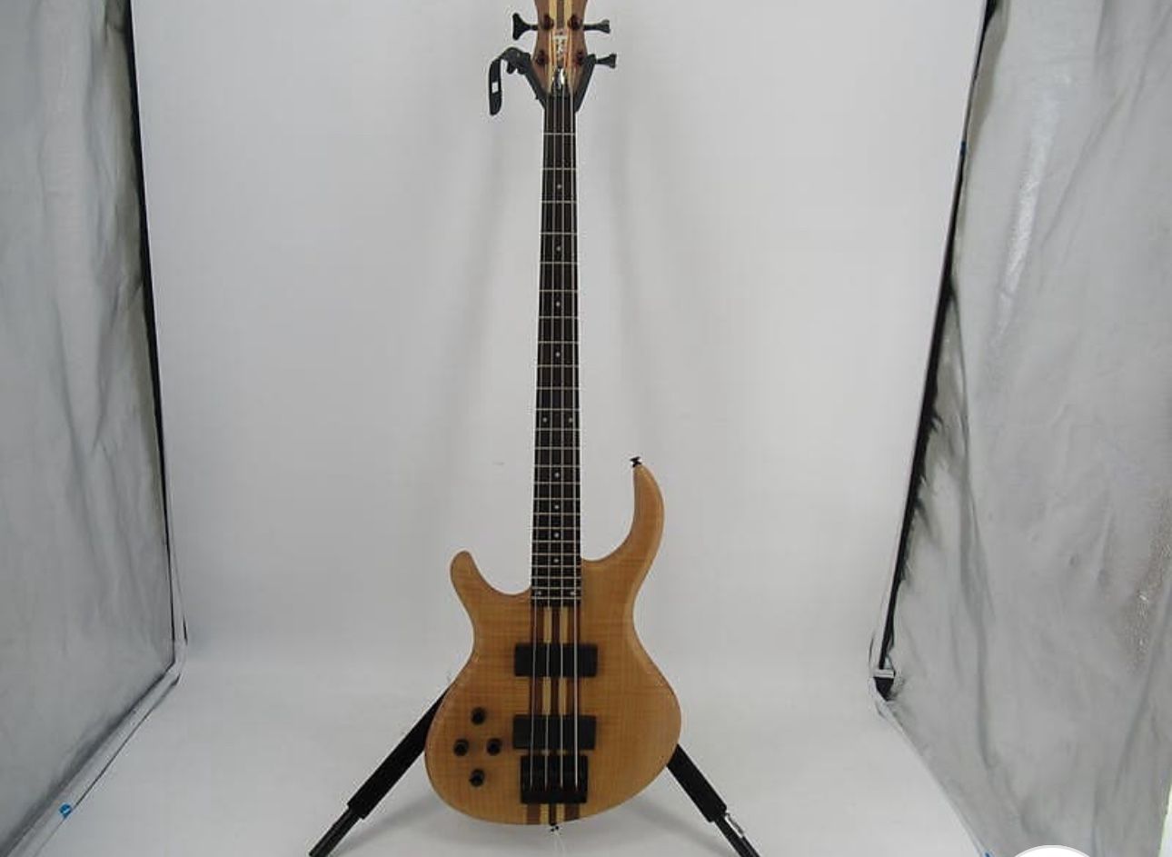 Bass Guitar 
