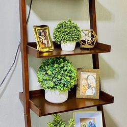 🪵📚 Bookcases, Bookshelves, Living Room Forniture, Shelves, Wood Tier Display  Stand 📚🪵