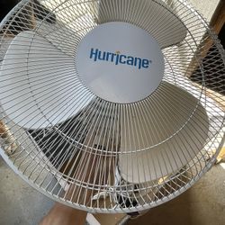 Fans