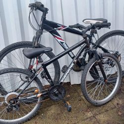 Mongoose and Road Master Bike 