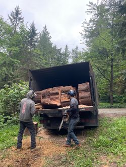 Free firewood and free delivery