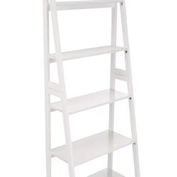 Ladder Bookshelf 