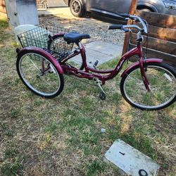 Schwinn Median 