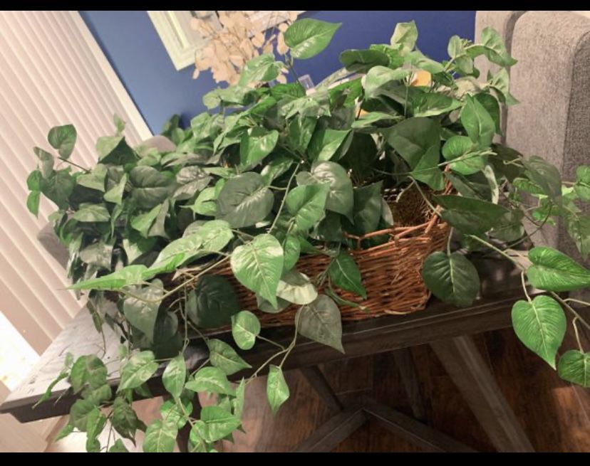 $15 or best offer - fake plants with basket