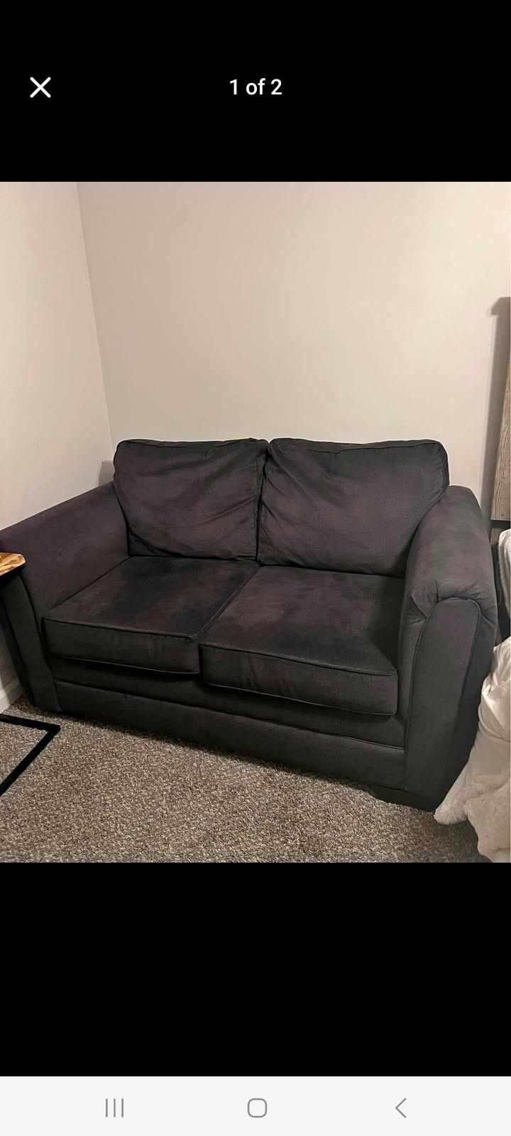 Loveseat ($100)
