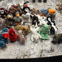 Beanie Baby Collection 