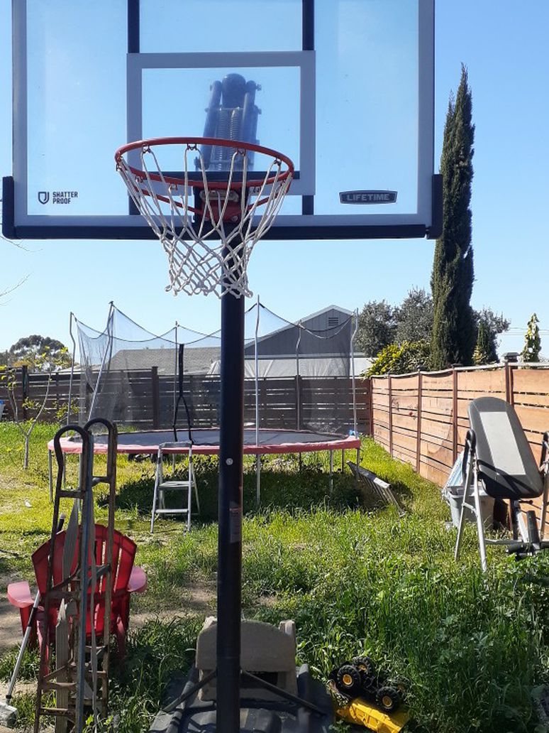 Lifetime Shatterproof Basketball Hoop