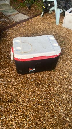 Igloo 55 quart cooler