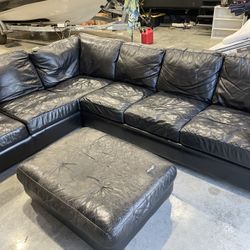 Free Sectional Couch