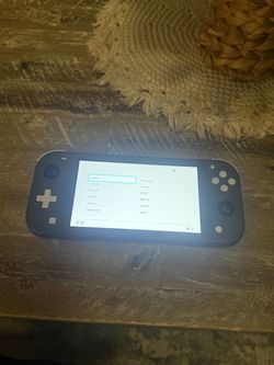 Nintendo switch lite